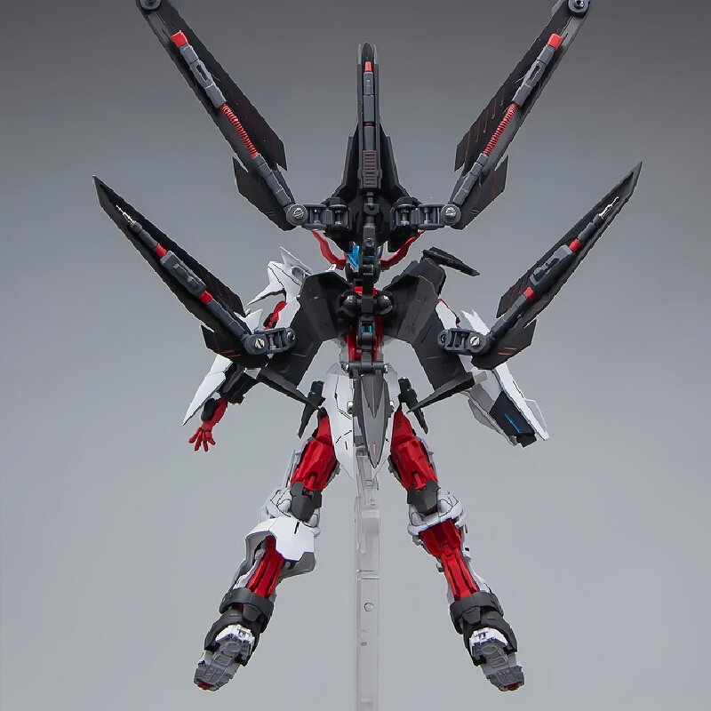 Beast Tiger HG Astray No Name  - огляд і ціна Model Kit Non Gundam