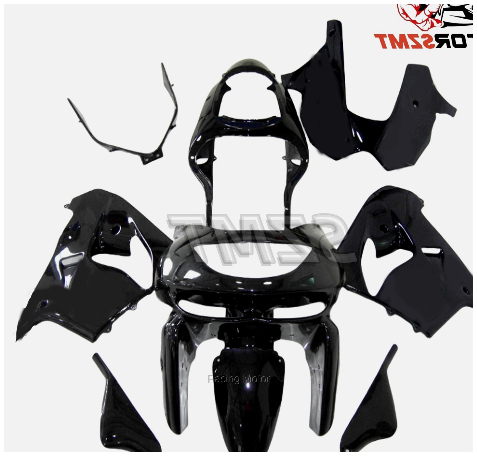 Customized Bodywork Fairing Se - огляд і ціна Model Kit Ninja